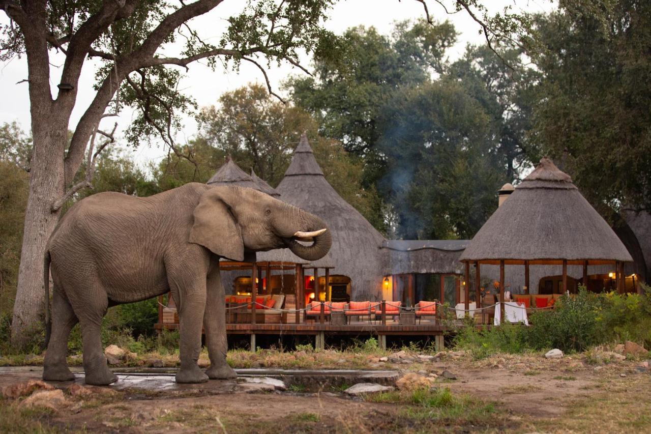 Hoyo Hoyo Safari Lodge Mluwati Concession Exterior photo